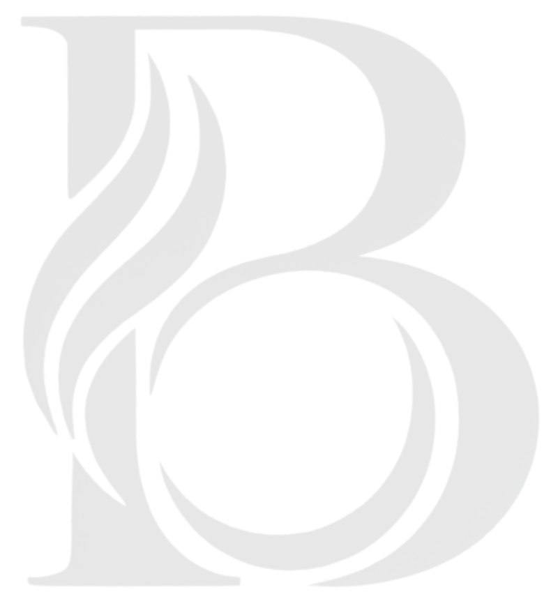 BELORA Preloader